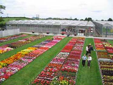 Image of Pentland Plants Loanhead