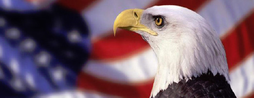 American Eagle with USA flag behind
